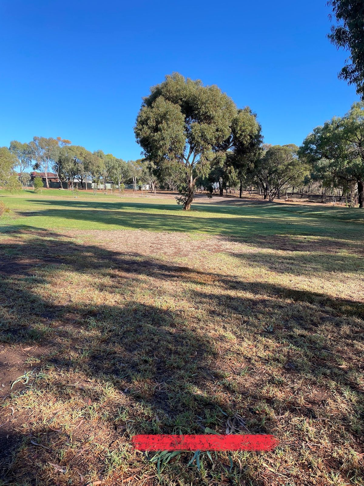 Hole 13 tee