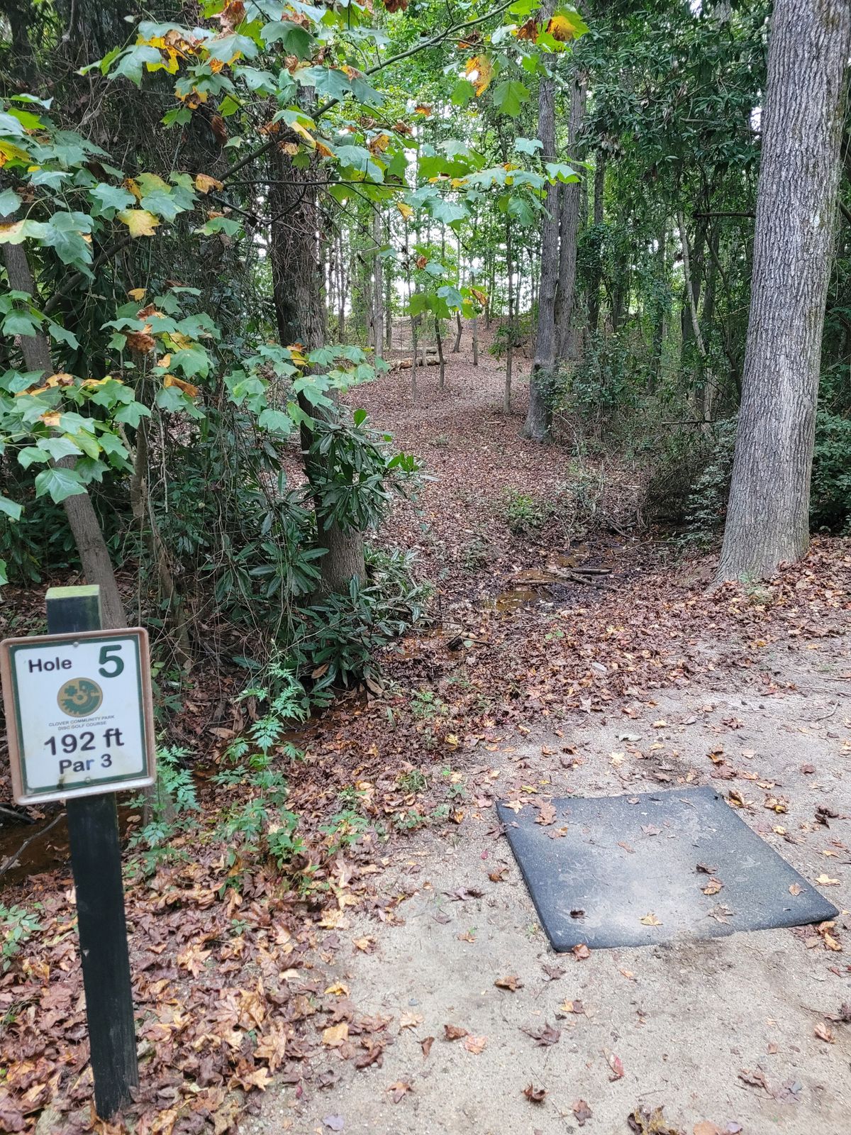 Hole 5 tee. Basket up the hill behind the leaves in the foreground.