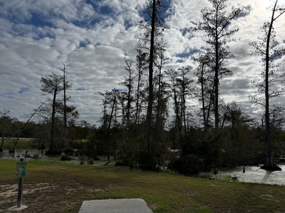 18 has a crazy shot straight over the swamp. Good luck!