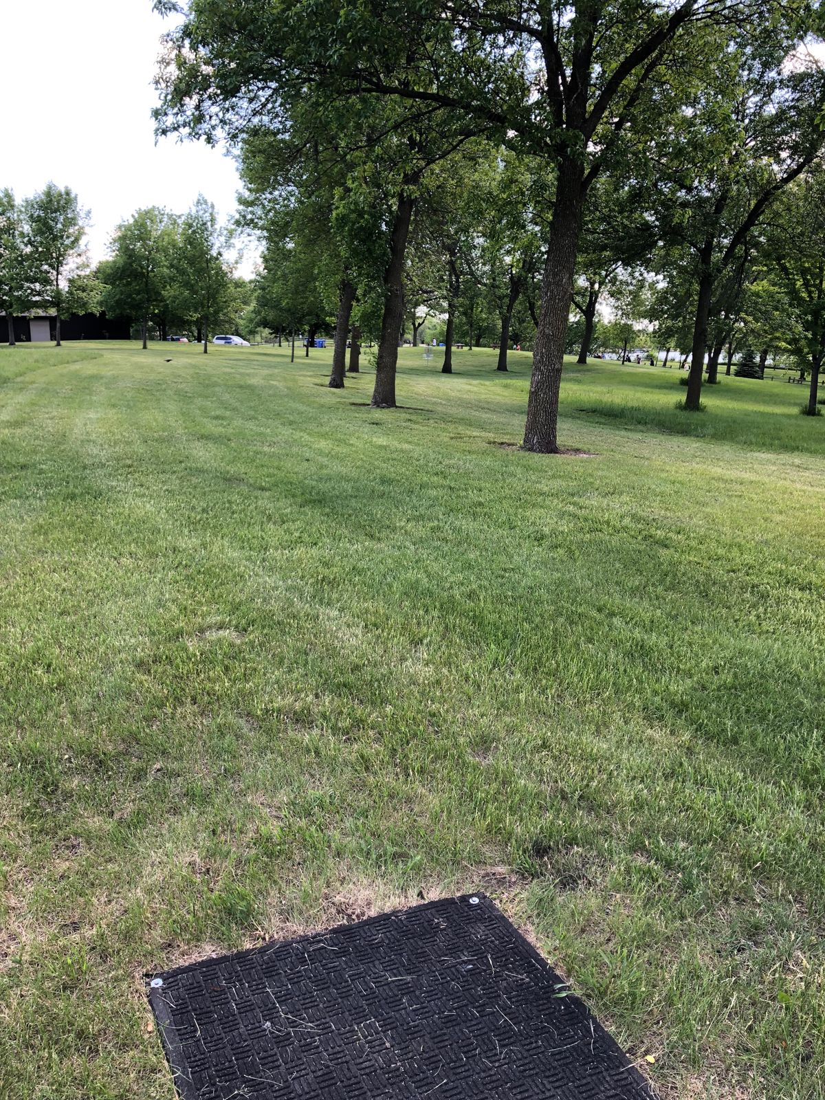 Hole 8 Tee