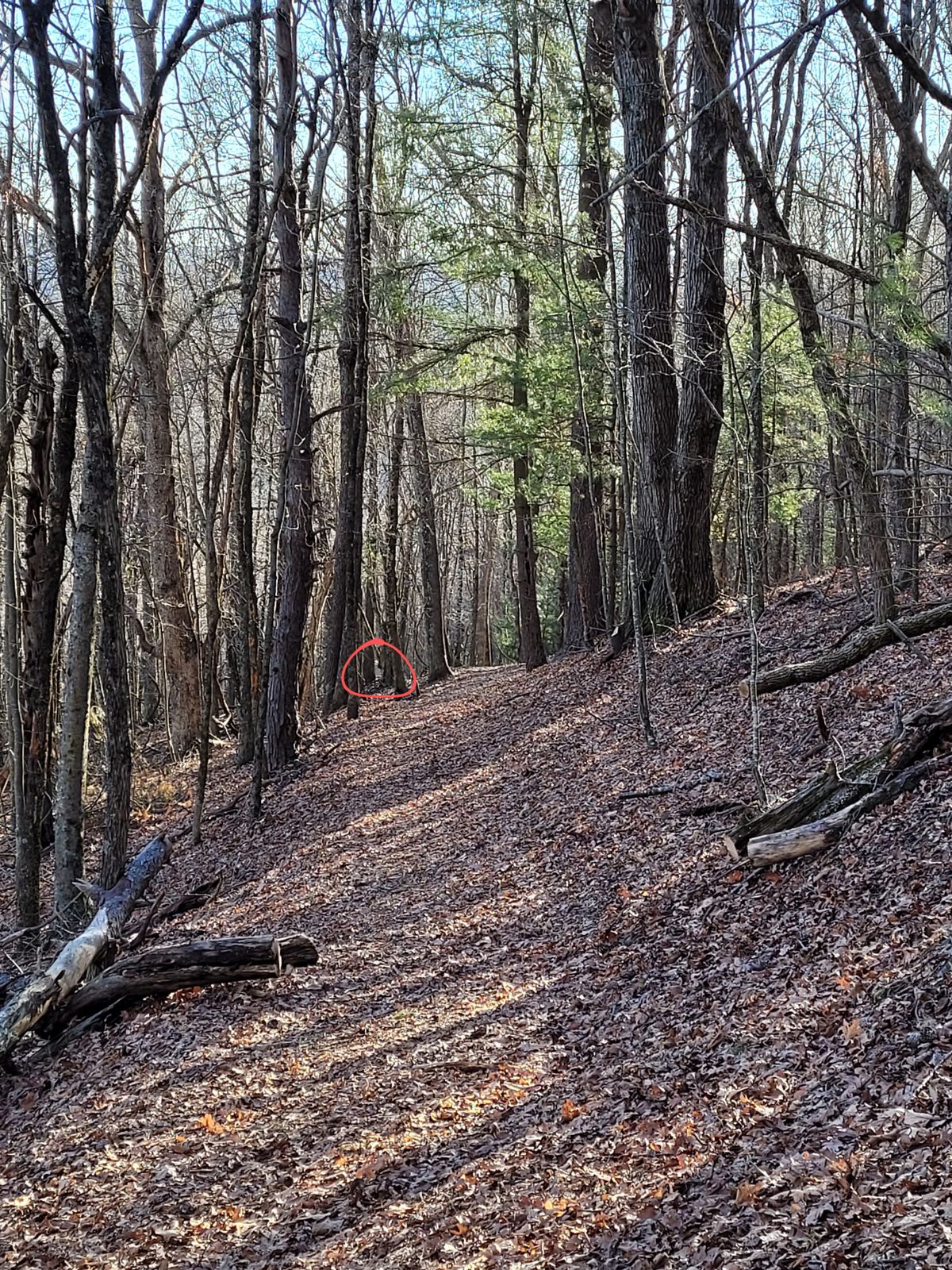 Hole #15 from pad