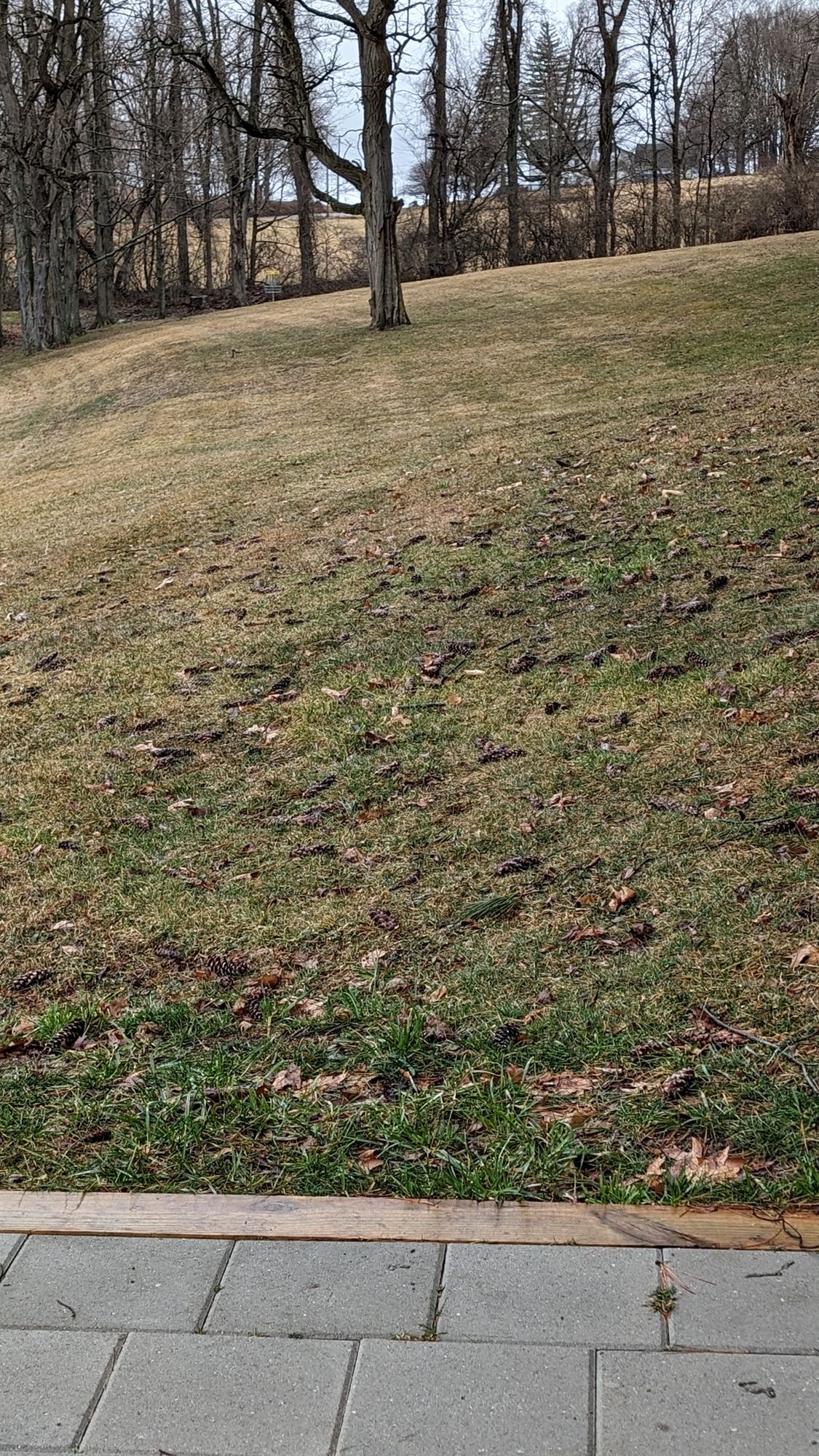 Hole 5