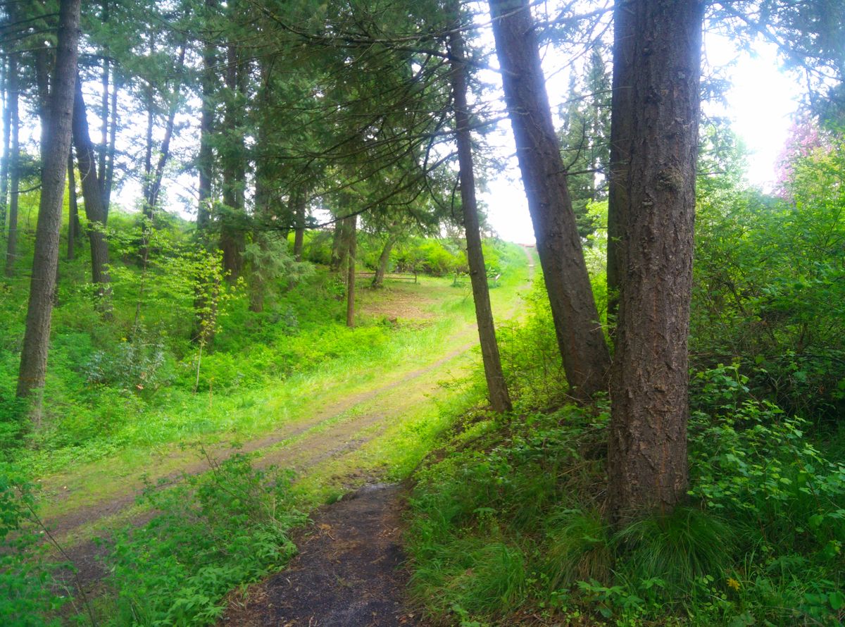 Hole 2