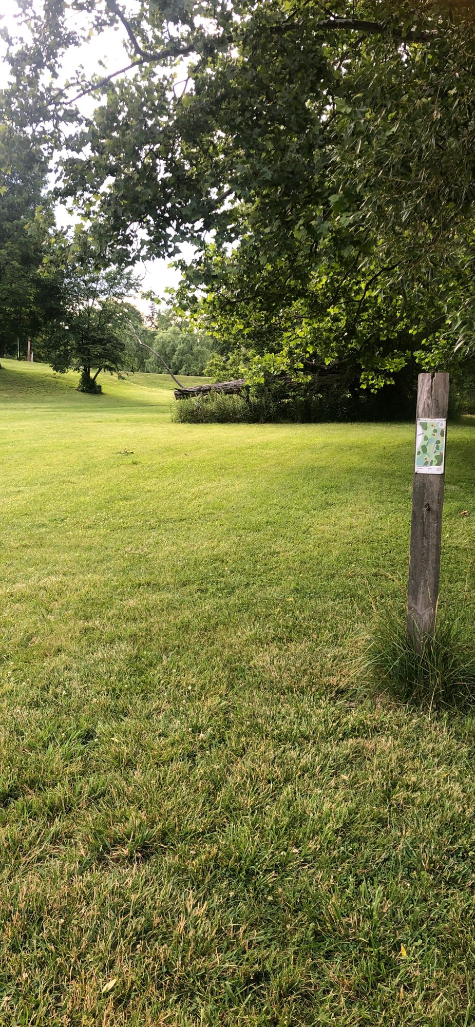 Hole 8