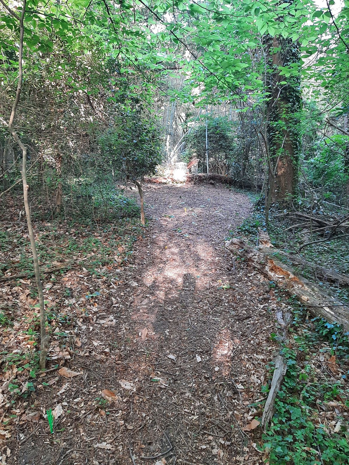 Hole 16 Red Tee