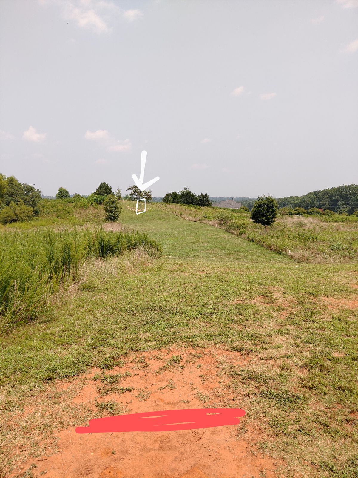 View from short tee box.