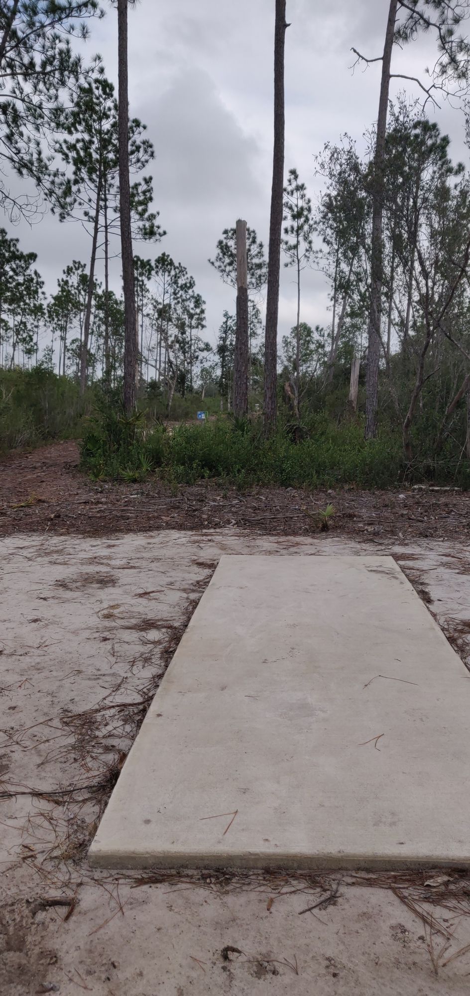 Hole 17 pad
