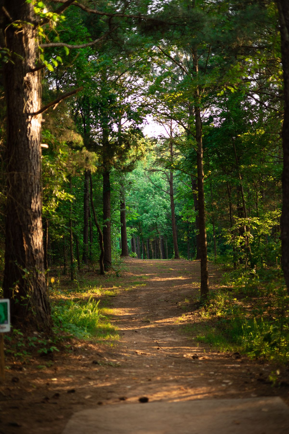 Hole 15 Short