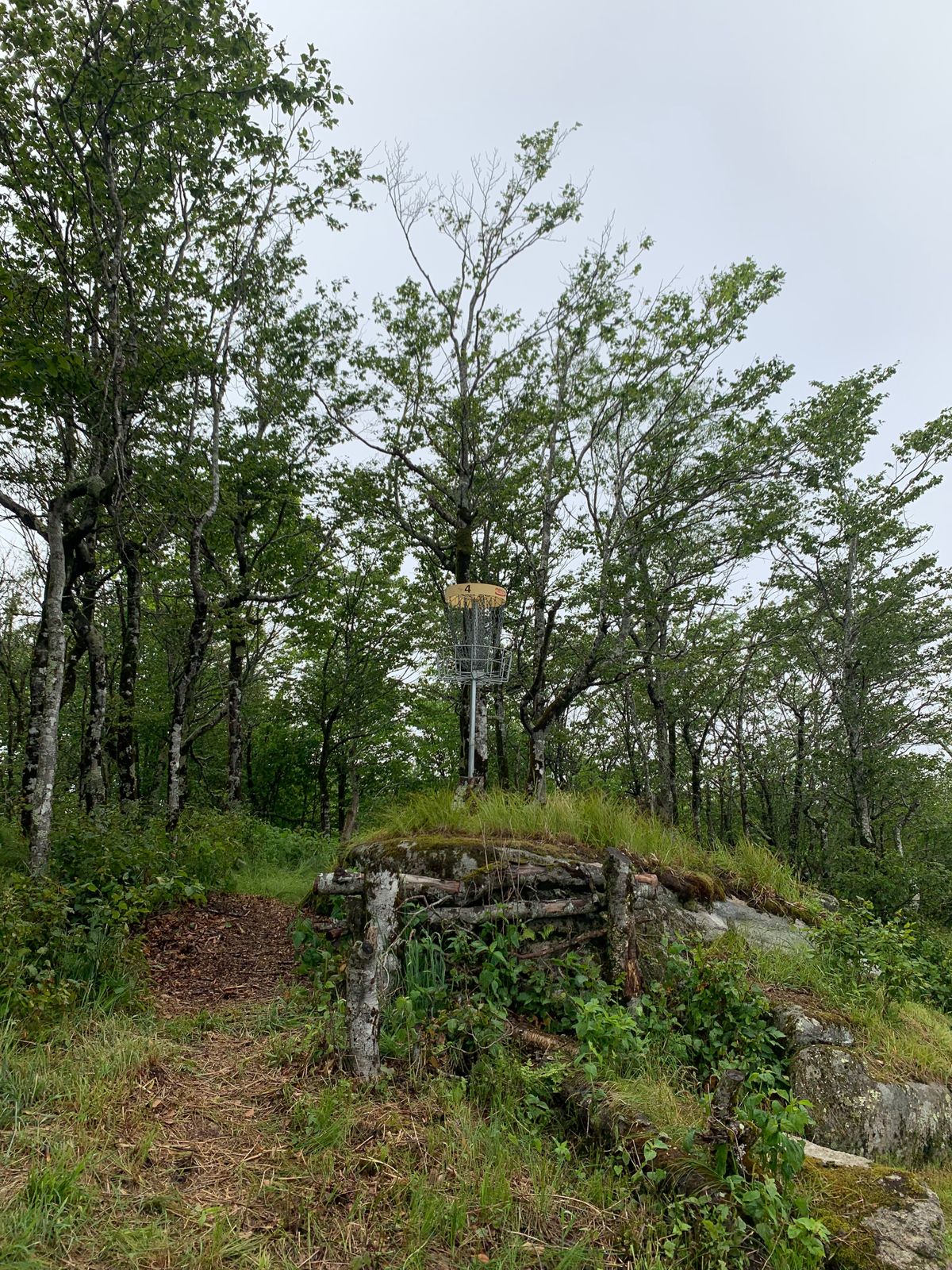 Hole 4 elevated basket