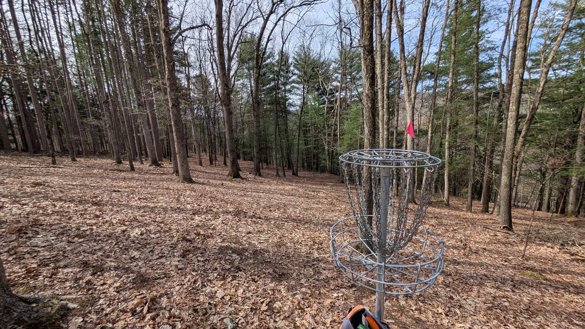 Also 15 basket area