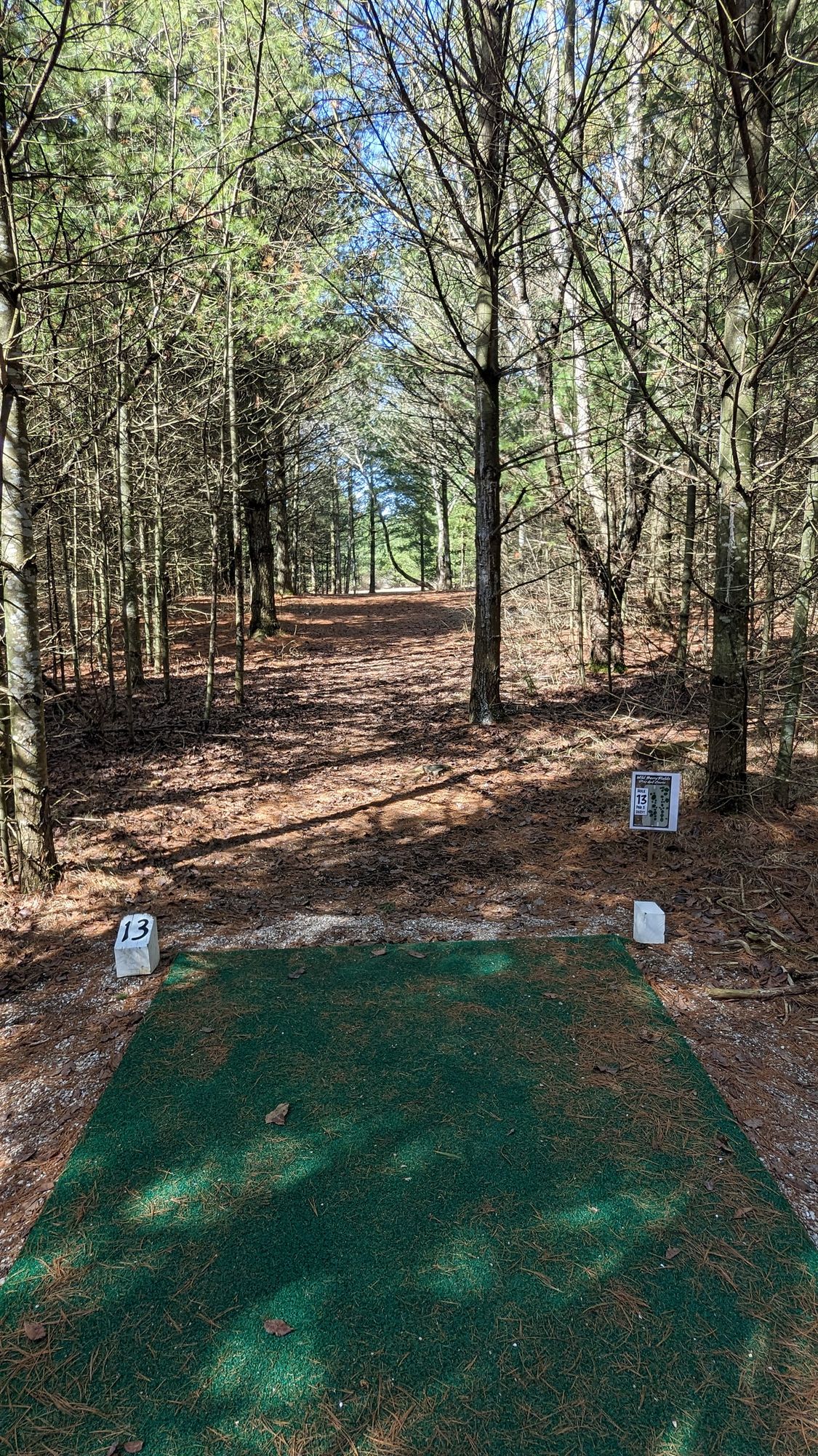 Hole 13-get through the trees out to the sunshine grass top of picture