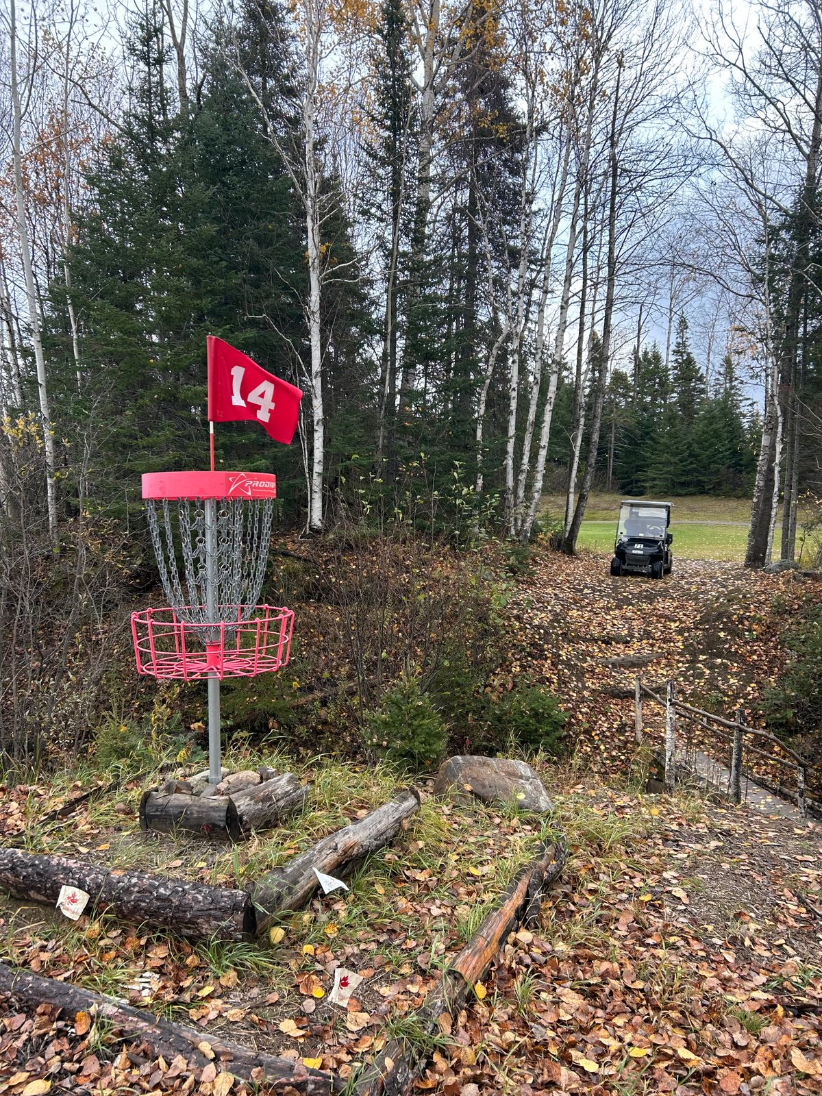 Hole 14 looking back towards the bridge