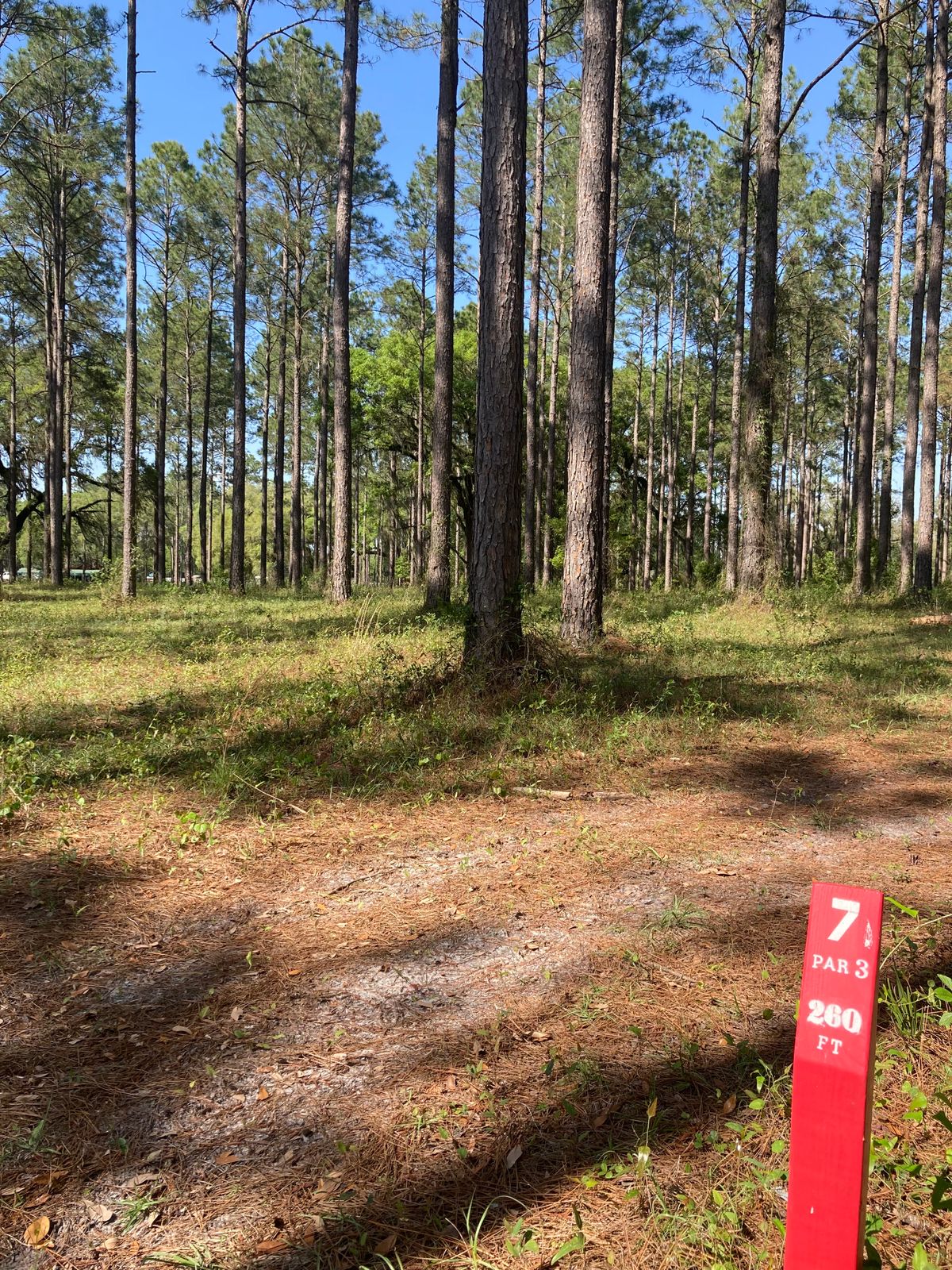 Hole 7