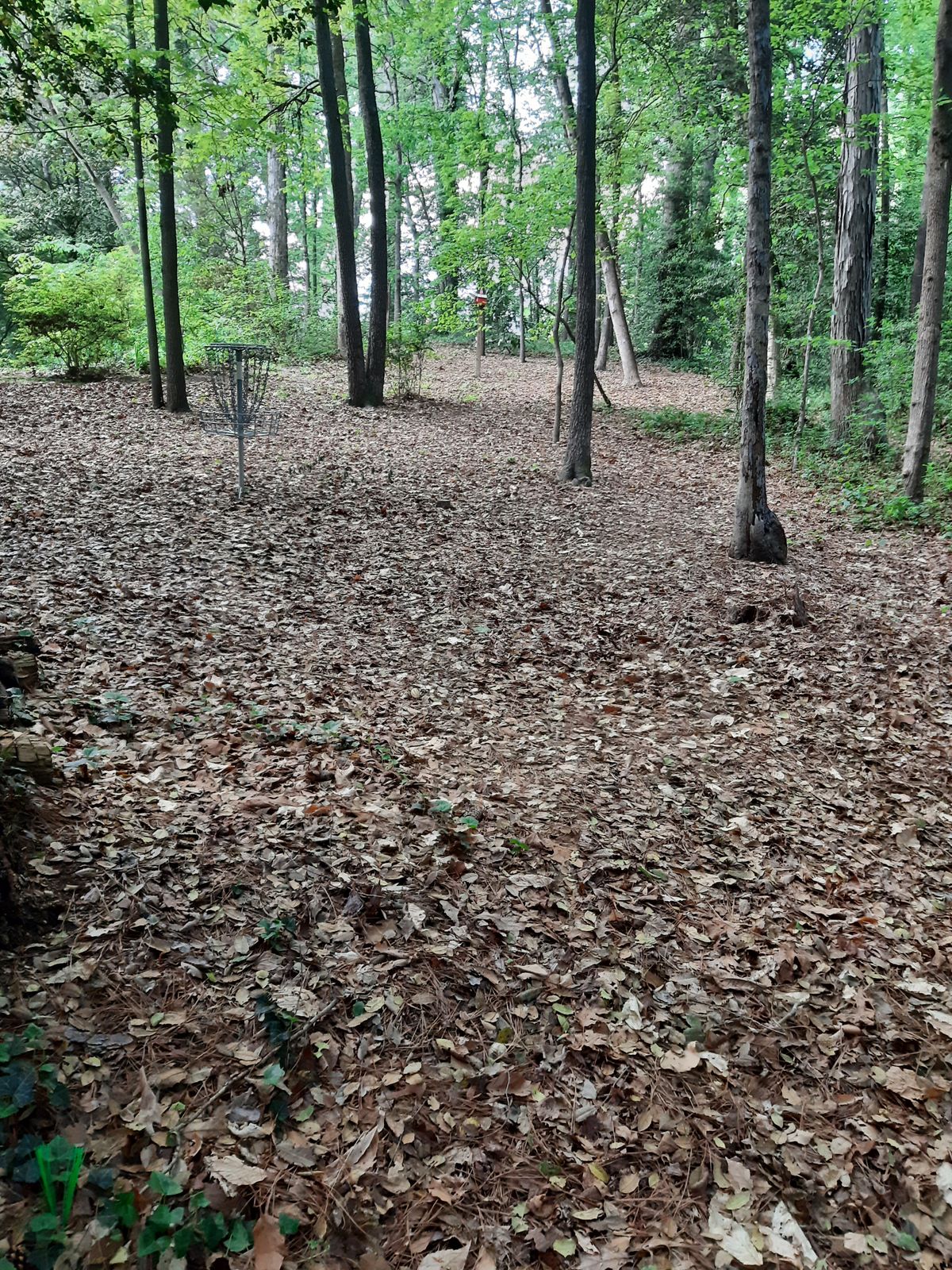 Hole 11 Par 3 Layout Tee