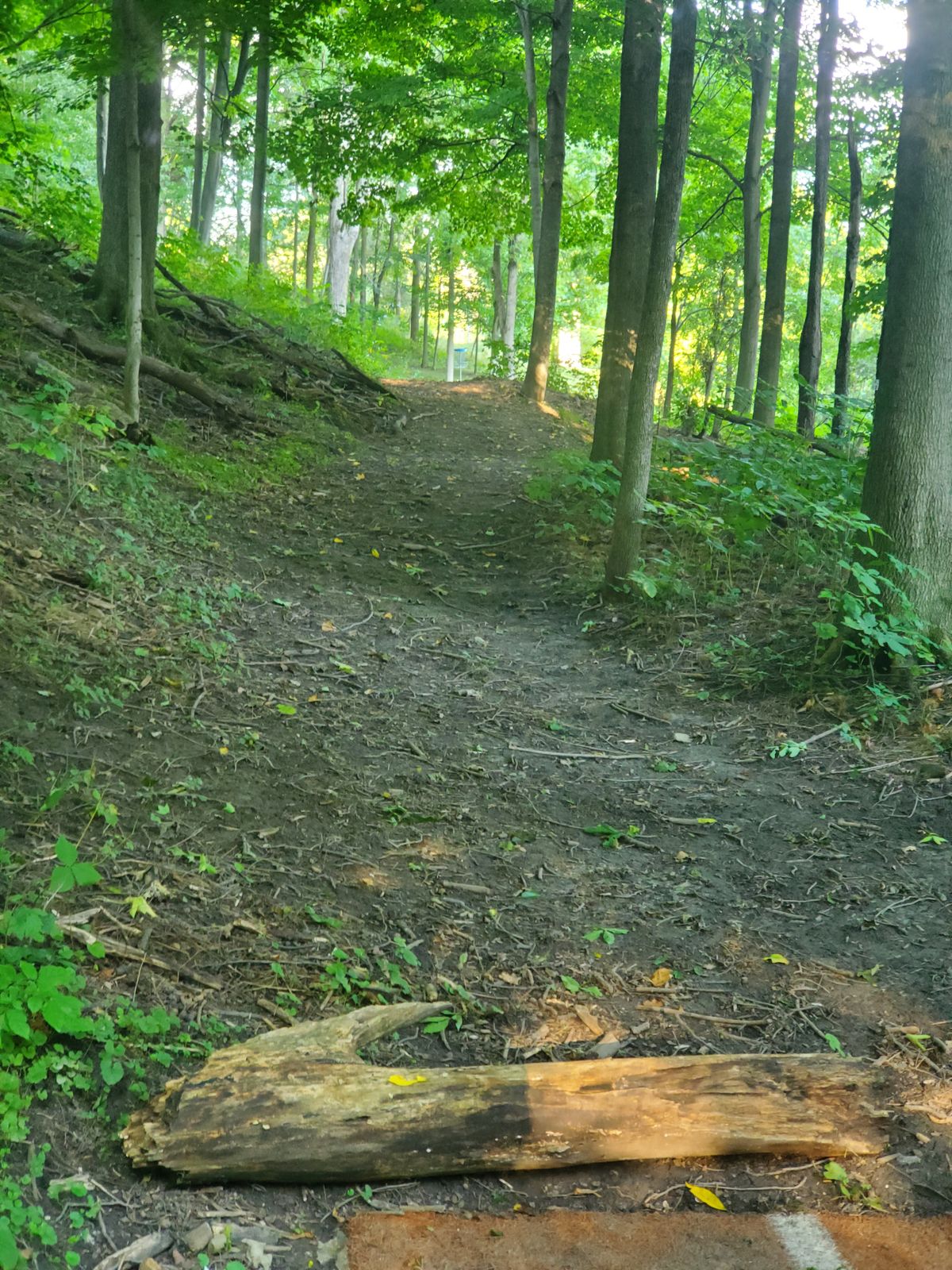 Hole 7 longs