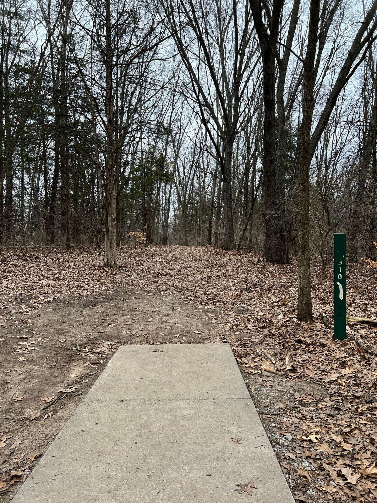 Hole 8 March 27, 2025