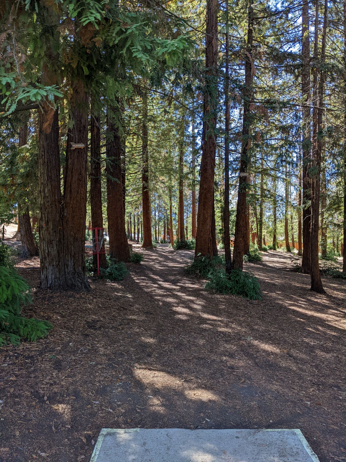 Hole 5