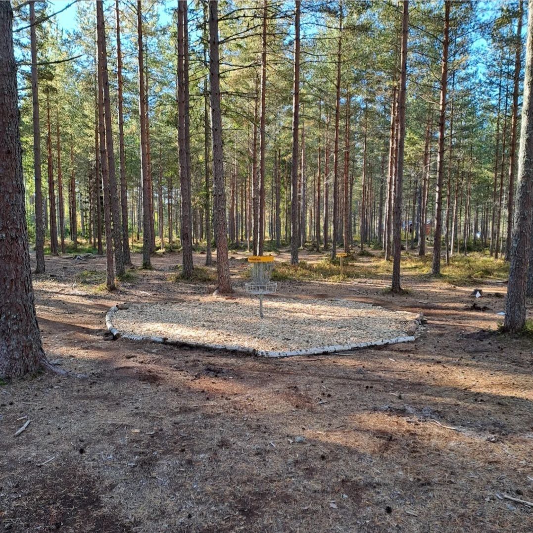 Basket hole 8.
