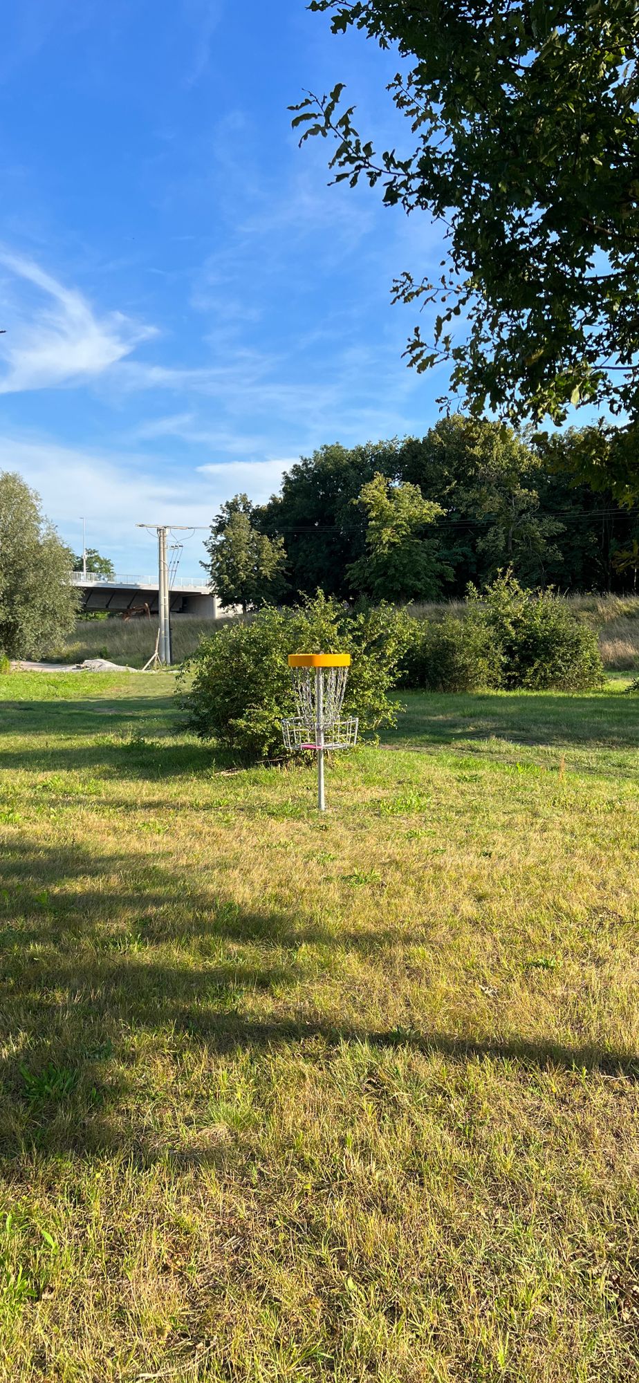 Target #9
