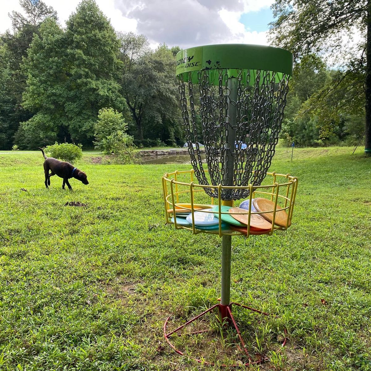 Practice basket