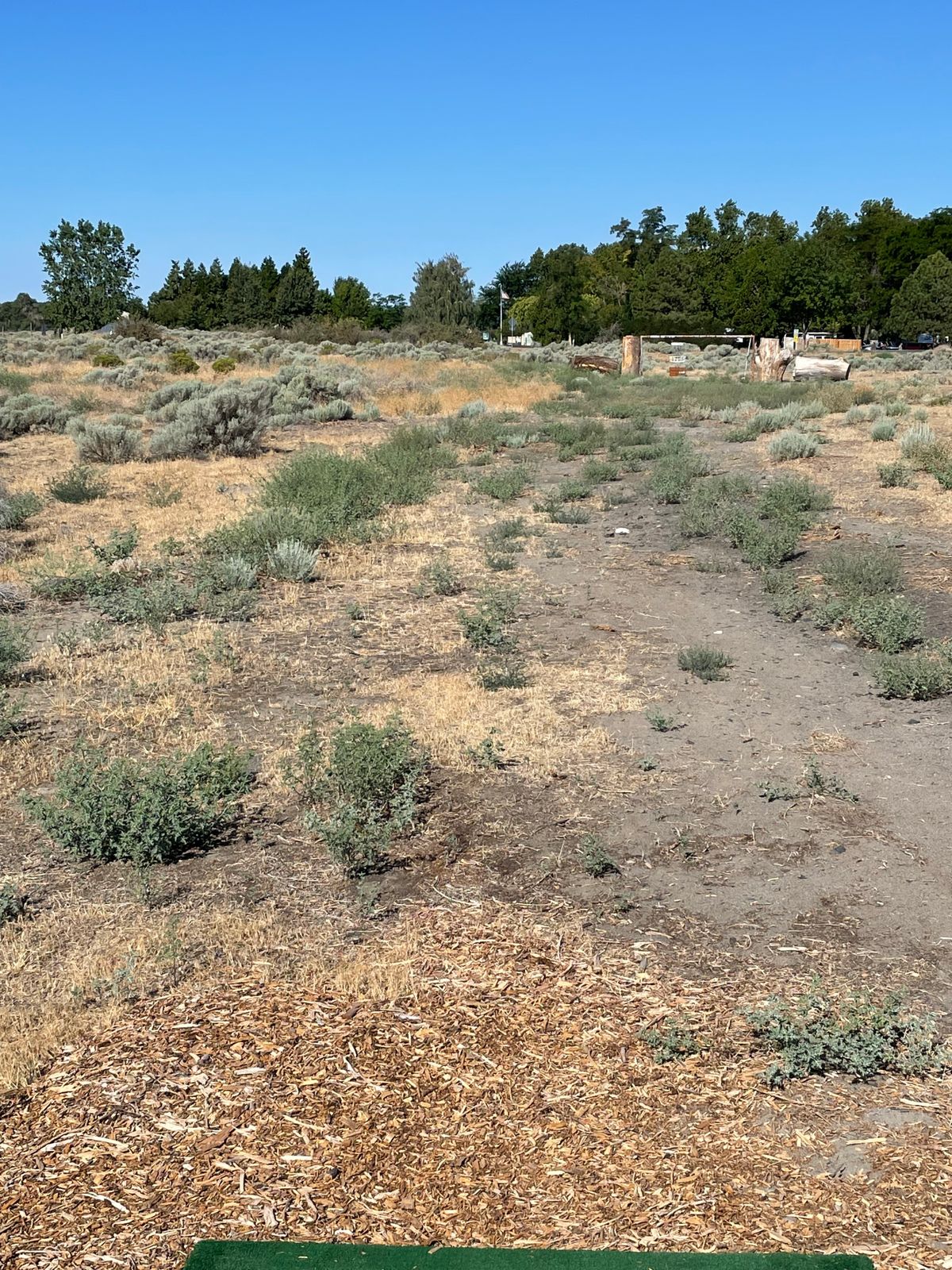 Hole 14