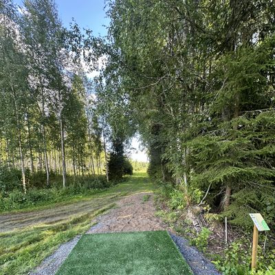 PRO #2 tee