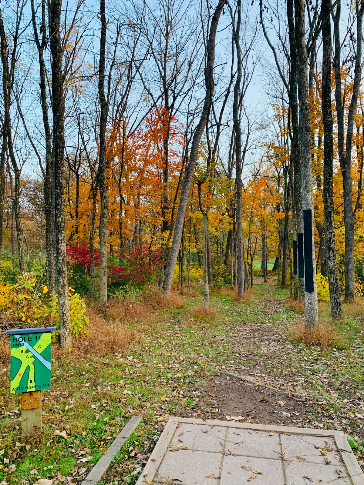 Hole 11