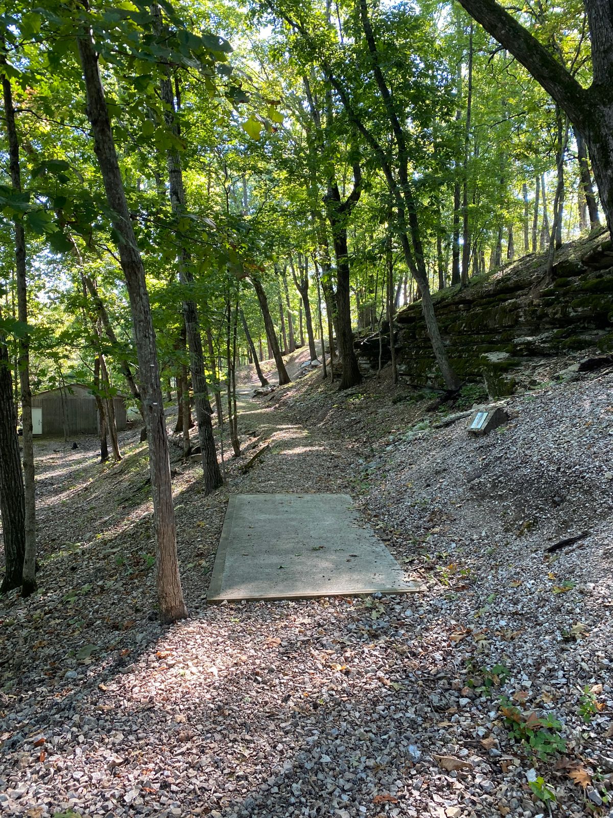 Hole 4