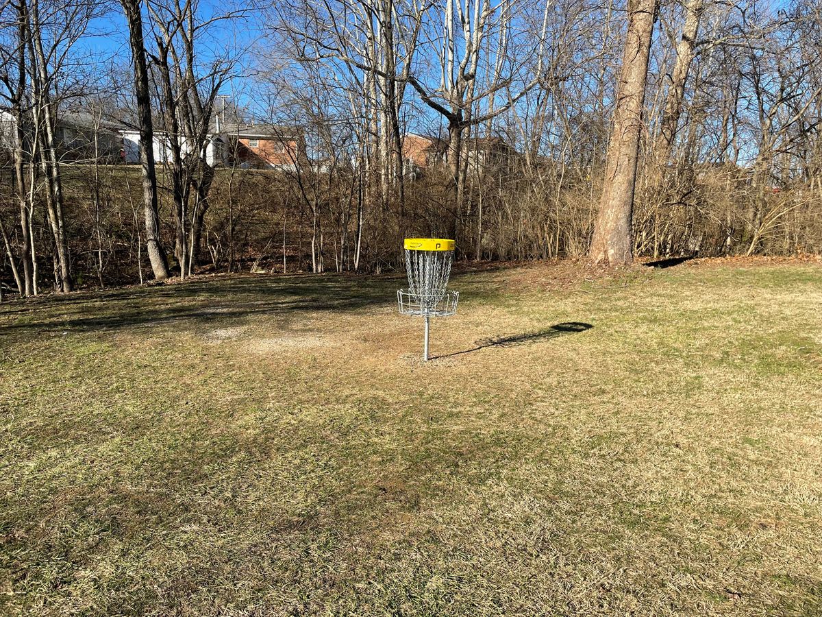 Putting Practice Basket