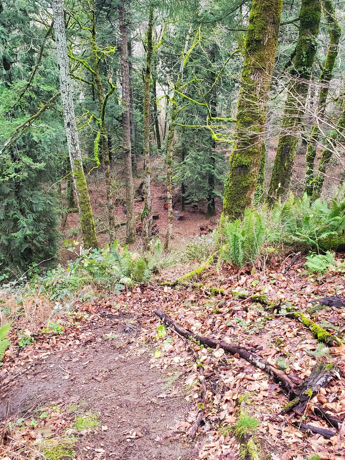 Down shot.