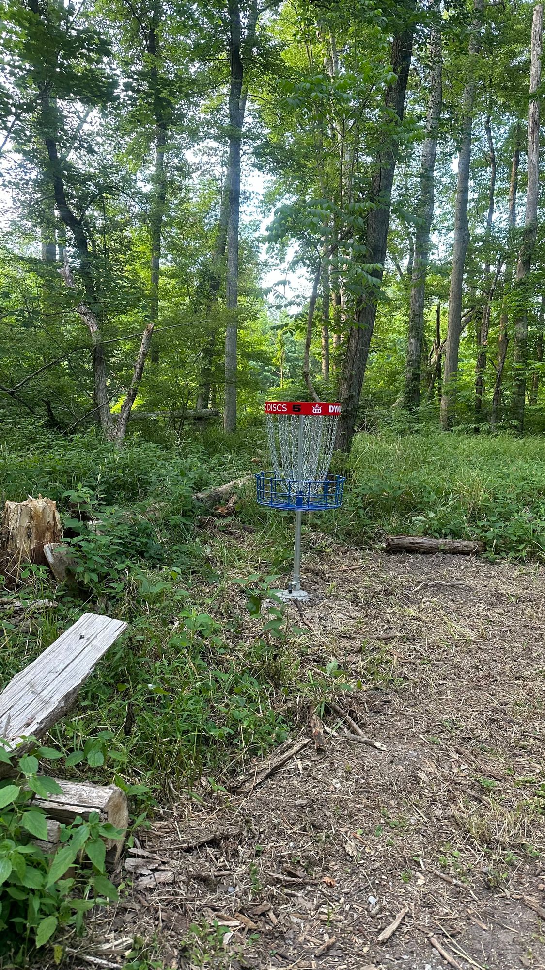 Hole 5 Basket