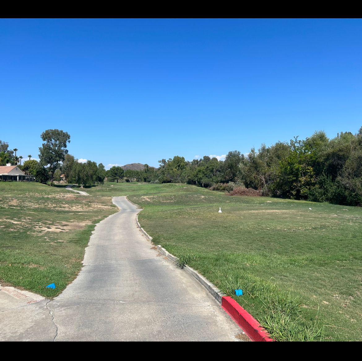 Hole 1 - All tee pads are currently on cart paths. Basket is to the right of the fairway 240 ft.