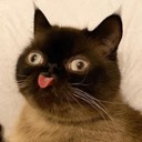 User avatar image