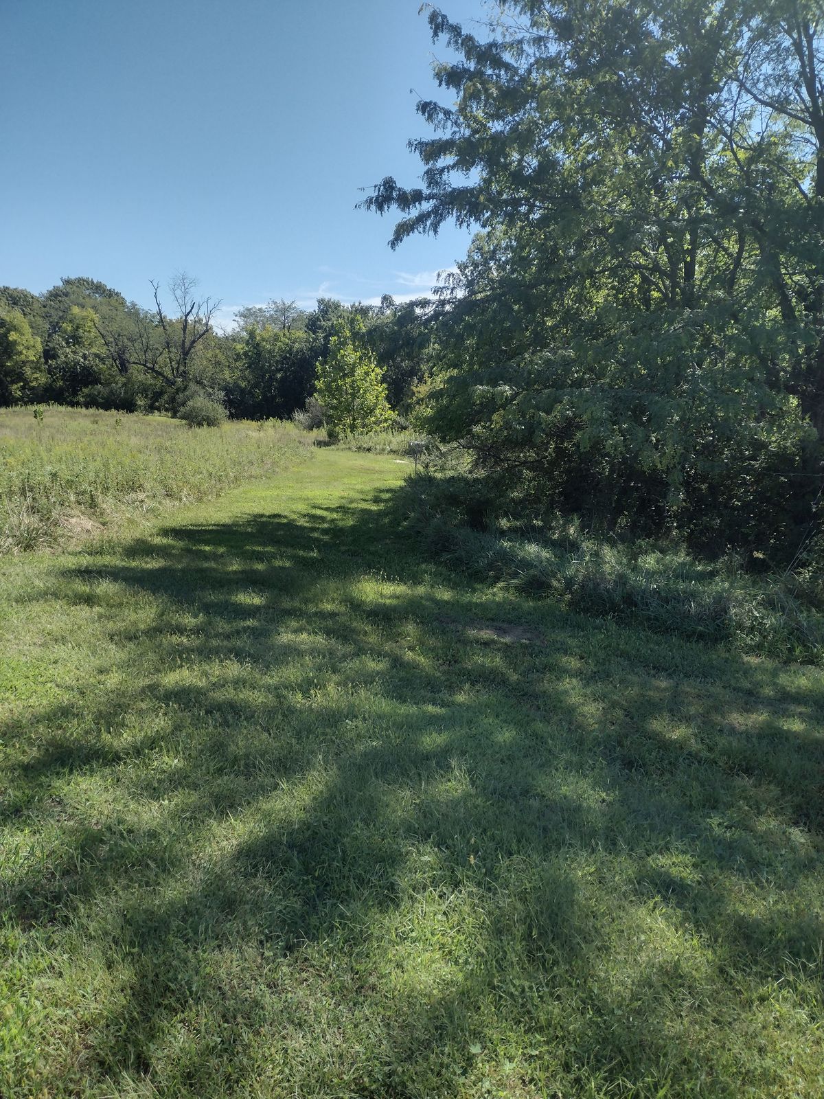 Hole 4 Basket