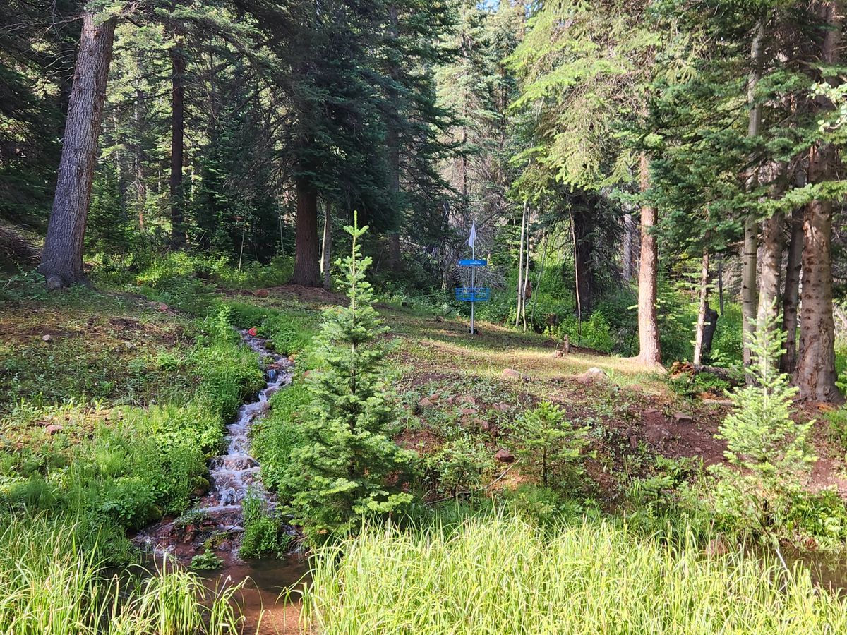 Hole 10