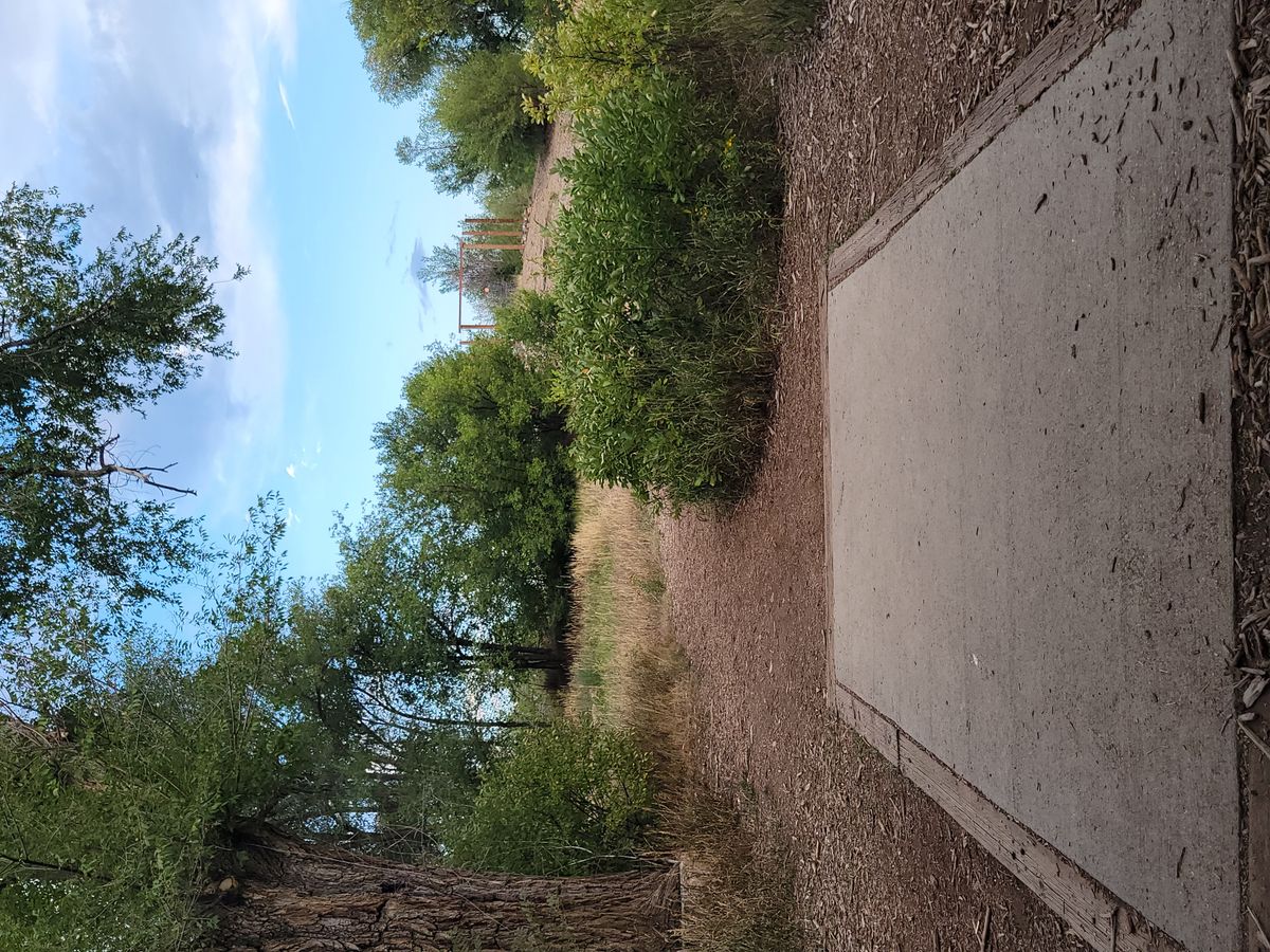 Hole 4 in the knoll