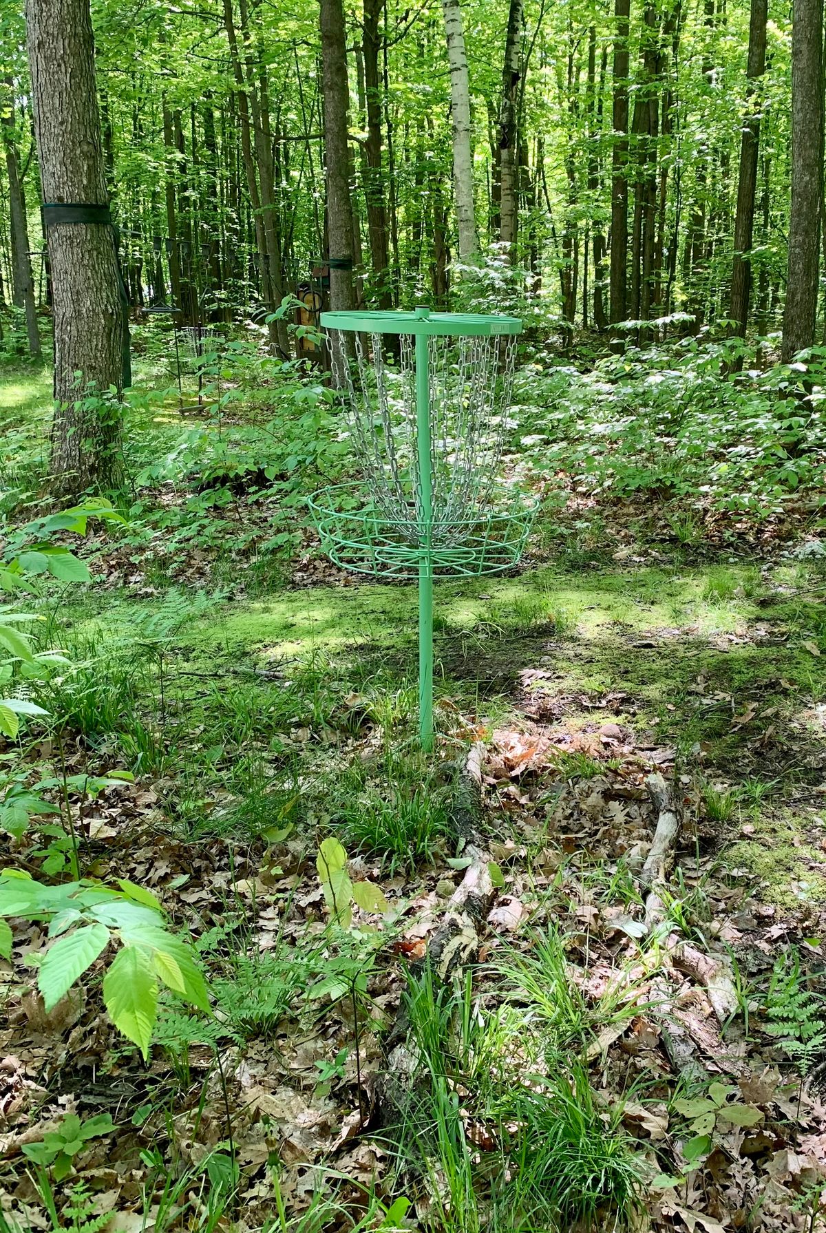 Hole 9