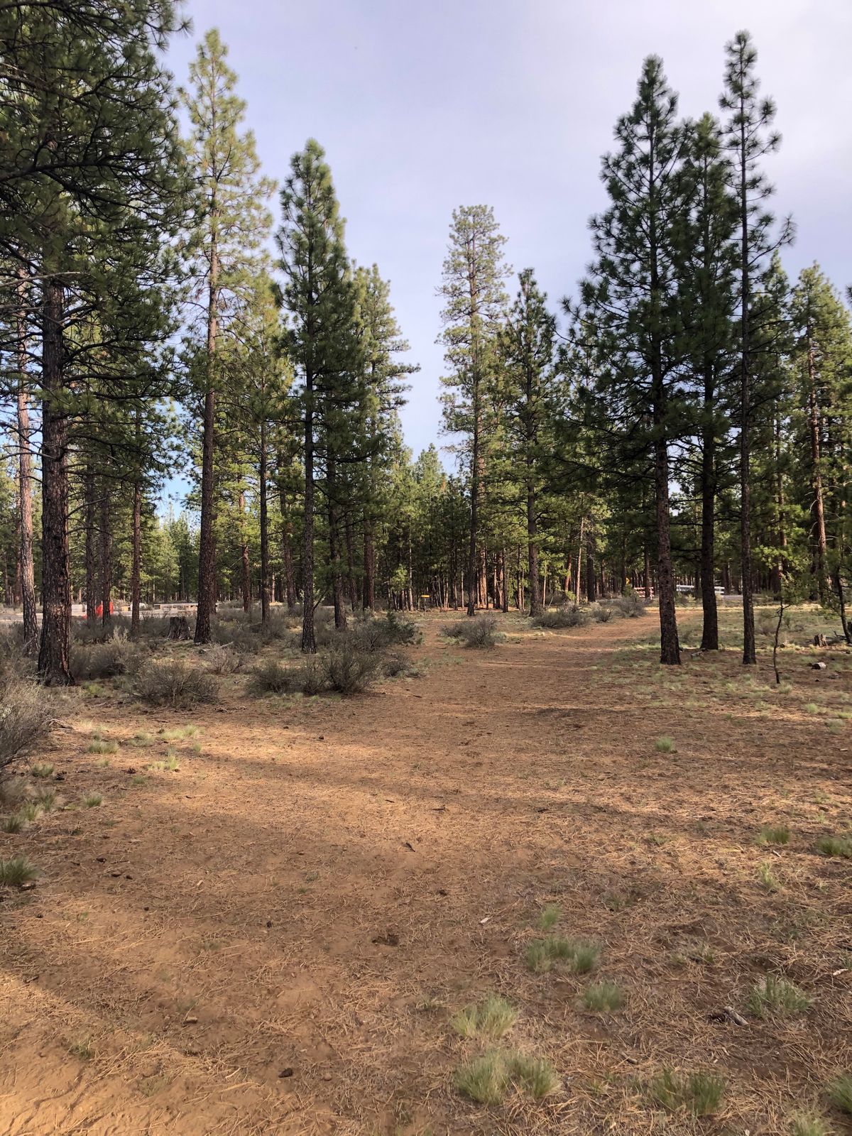 17 fairway