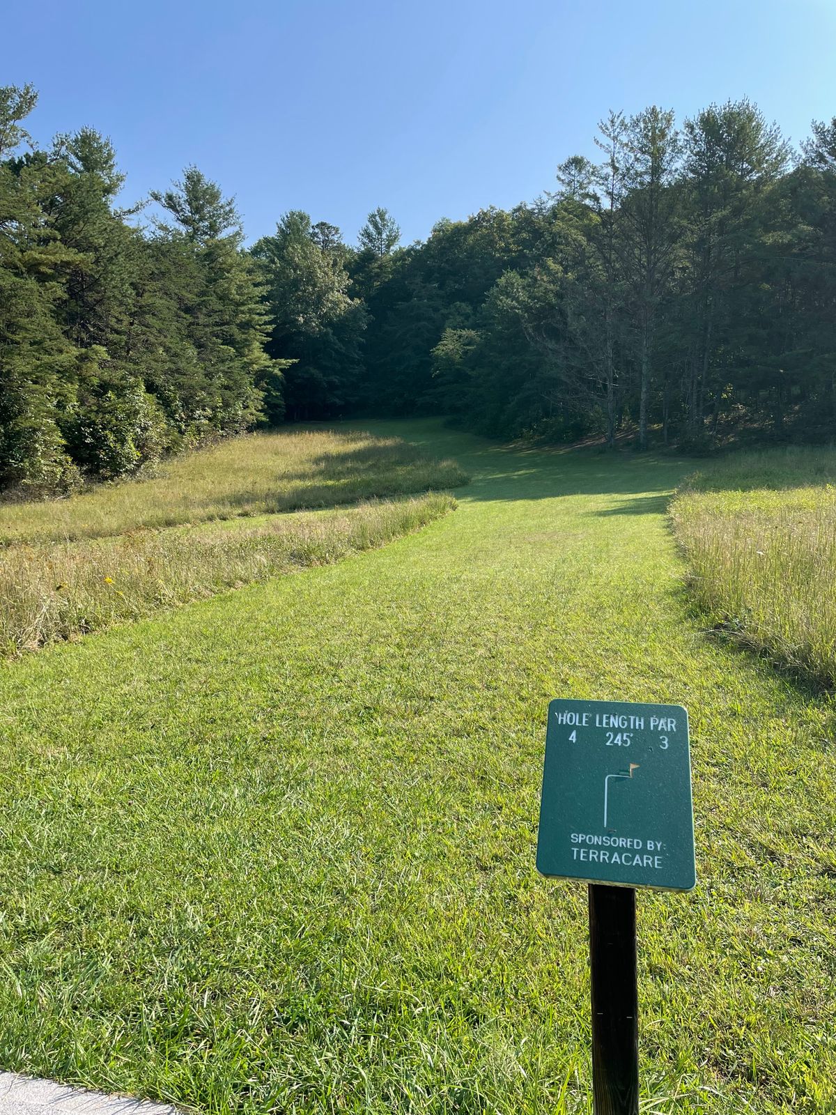 Fairway 4 from Teepad