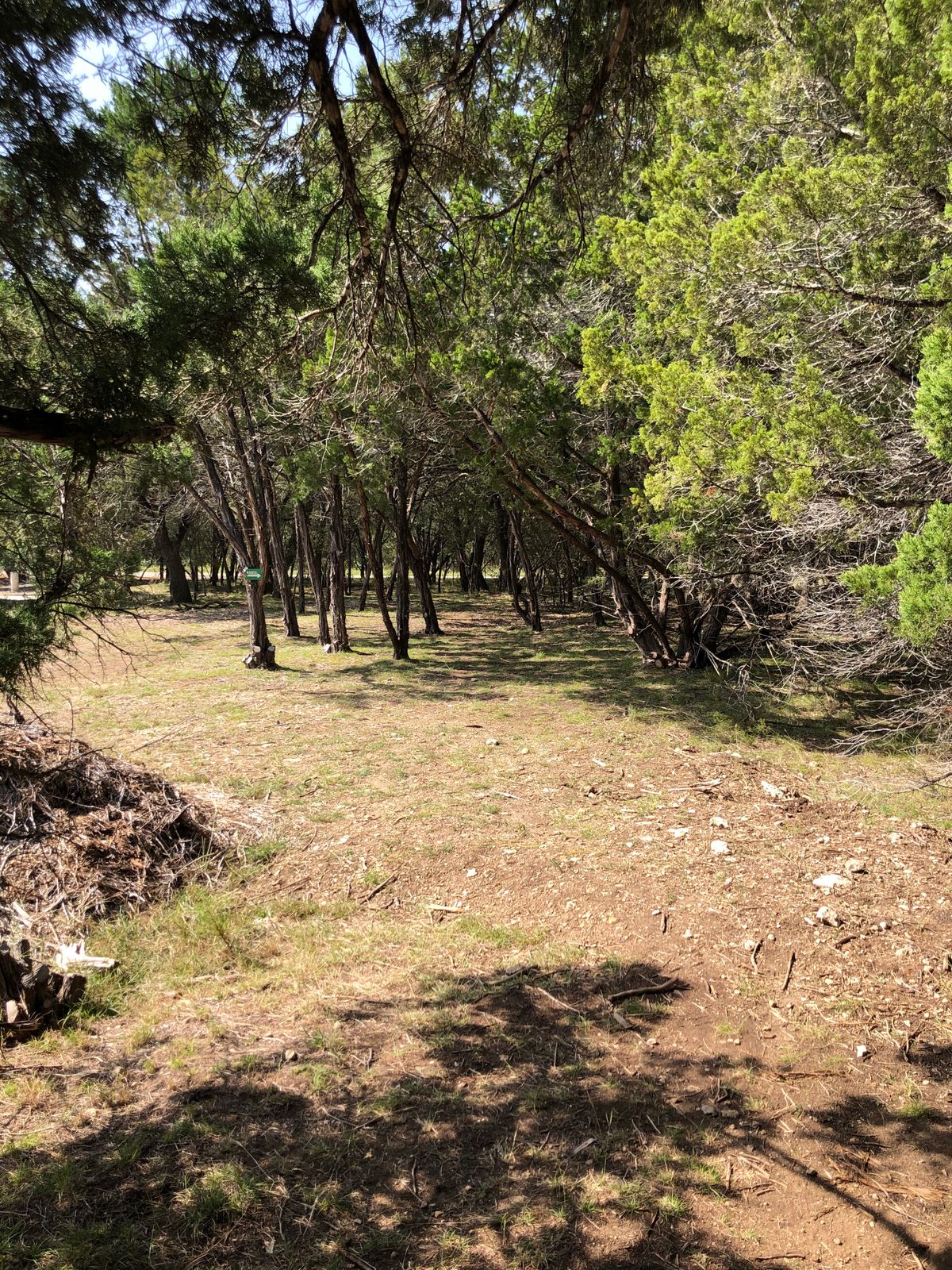 Hole 7