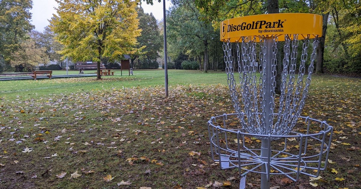 Basket 2 looking back to tee
