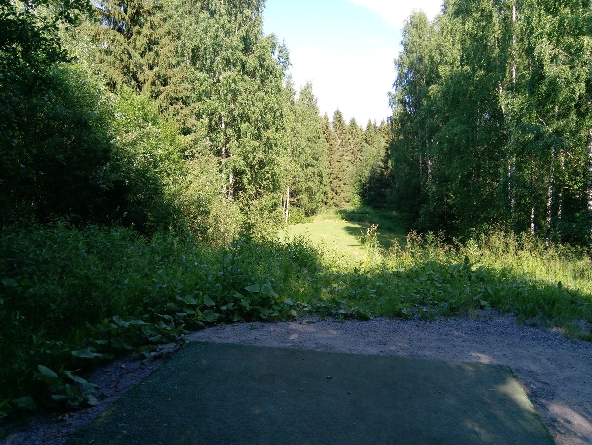 Hole #11 (4.7.2022).