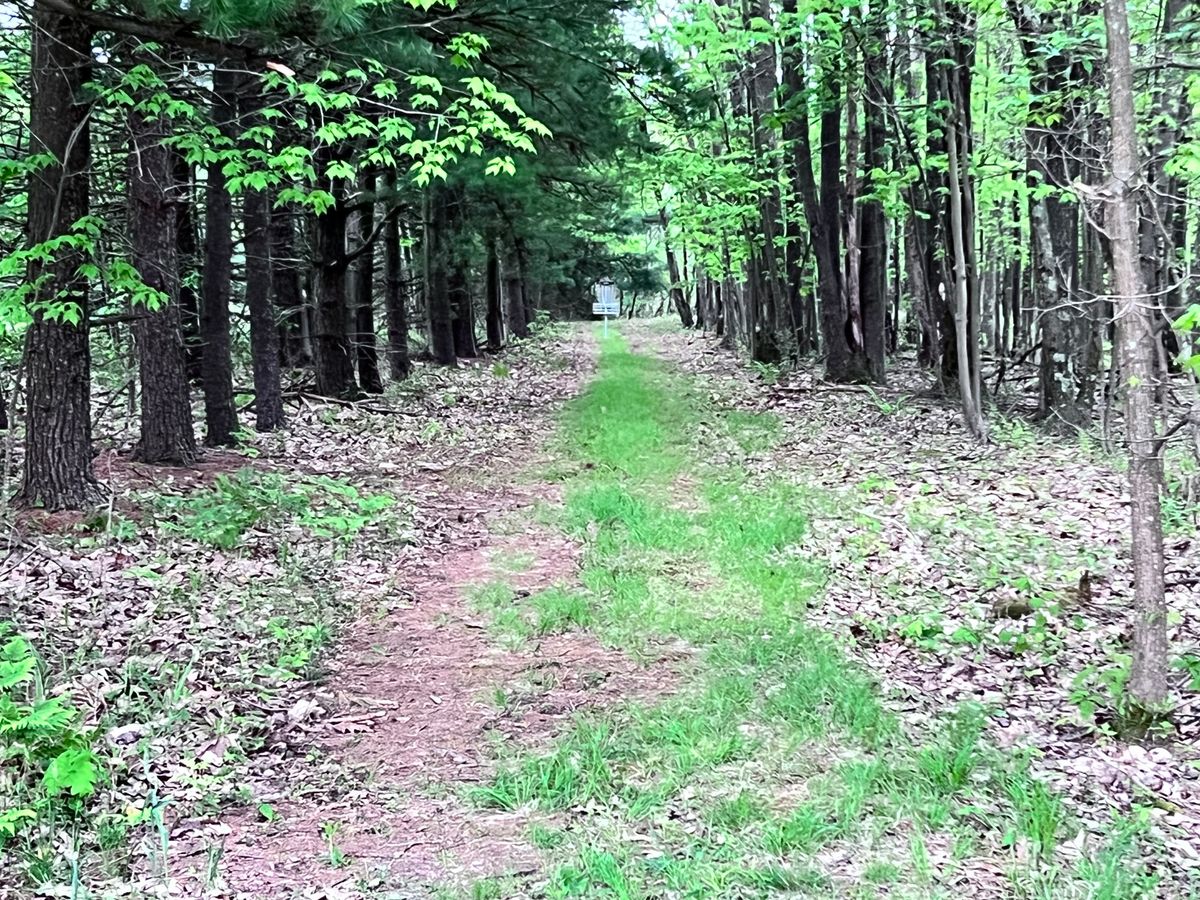 Hole 1