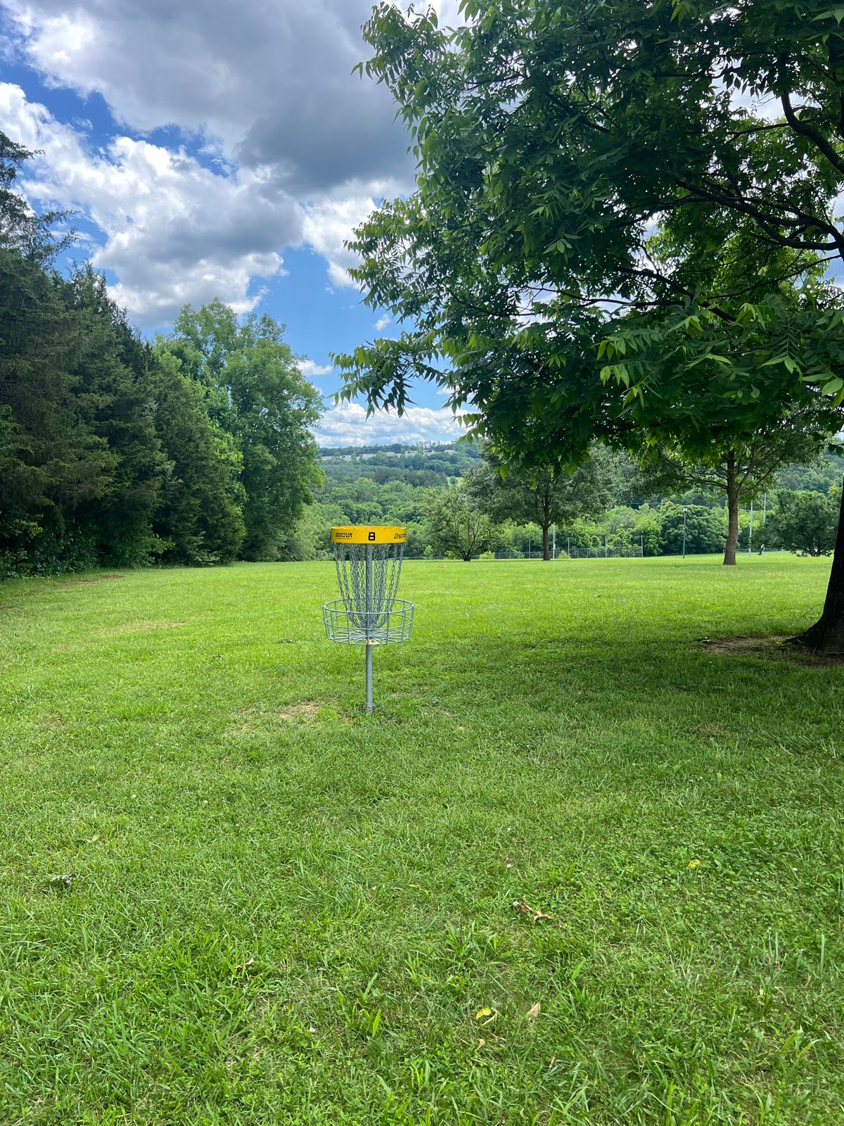 Hole #8 Behind Basket