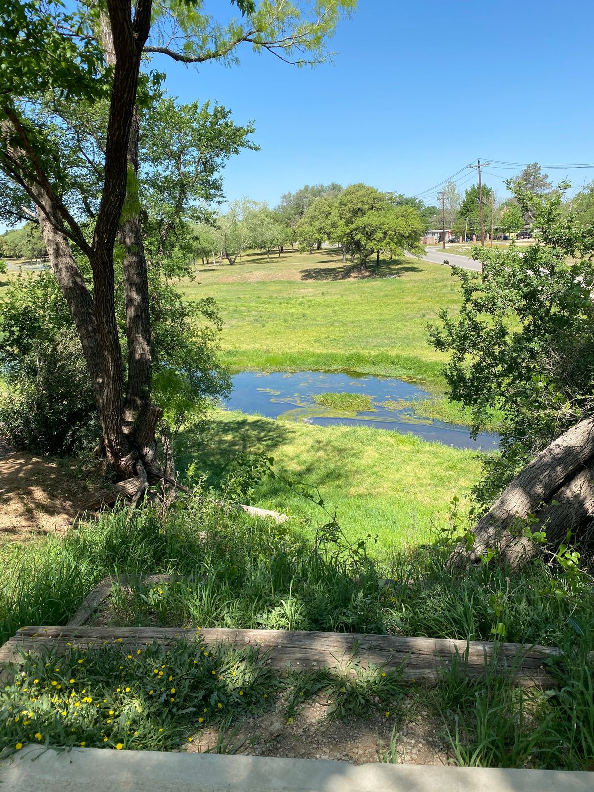 View from 18th hole.