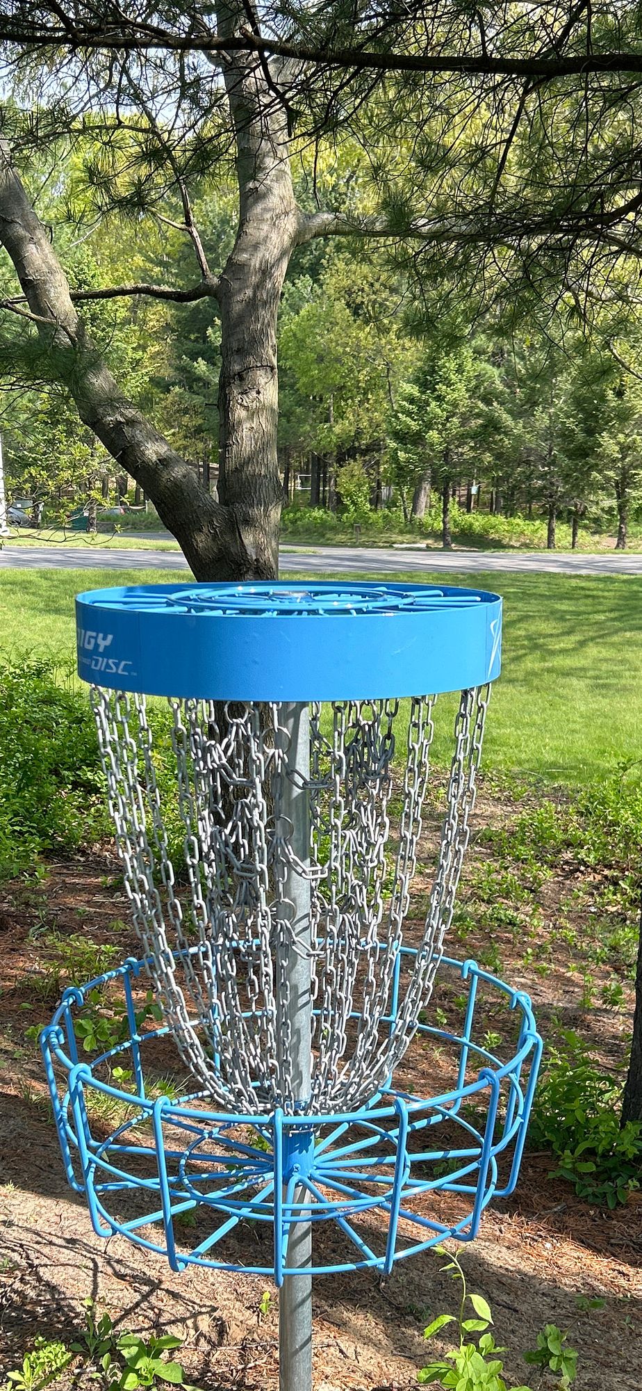 Hole #9 Basket