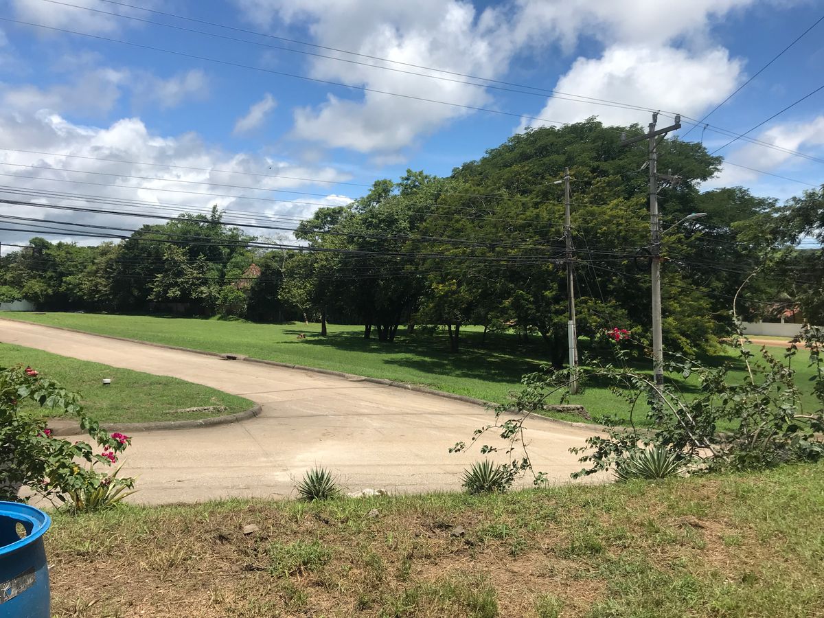 First Hole teepad, right in Front of Volcano Brewery. Basket tucked in the trees.