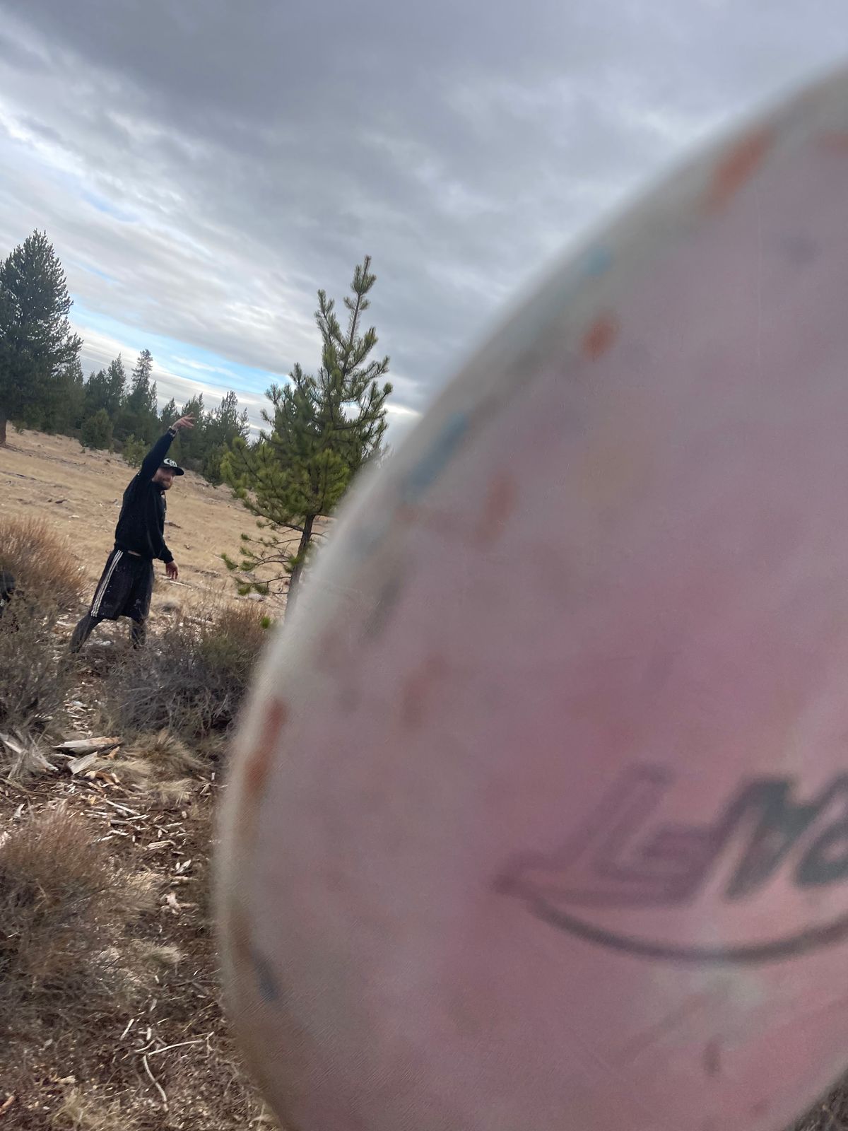 How windy it actually is out here, it flips discs.