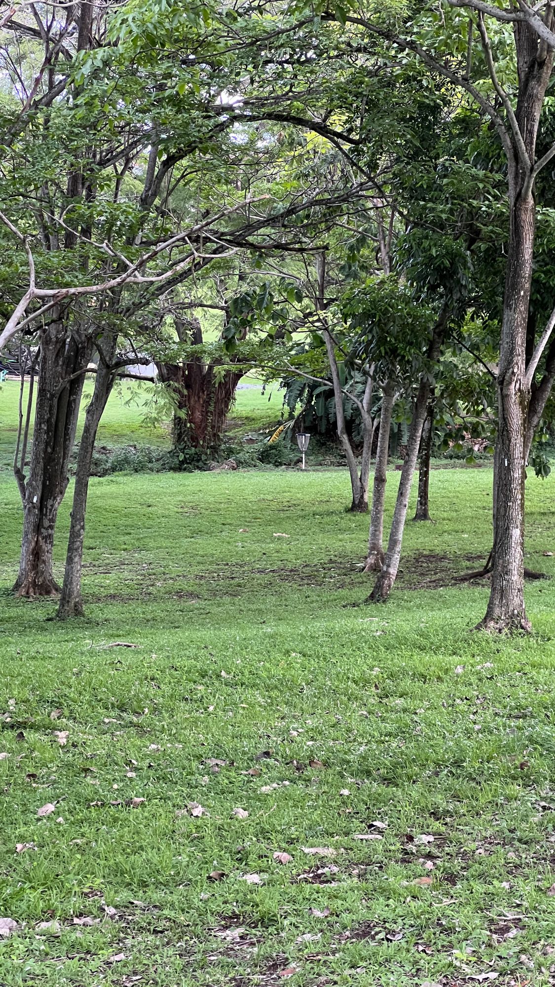 Parque Omar DG Course
Hole 11 Target