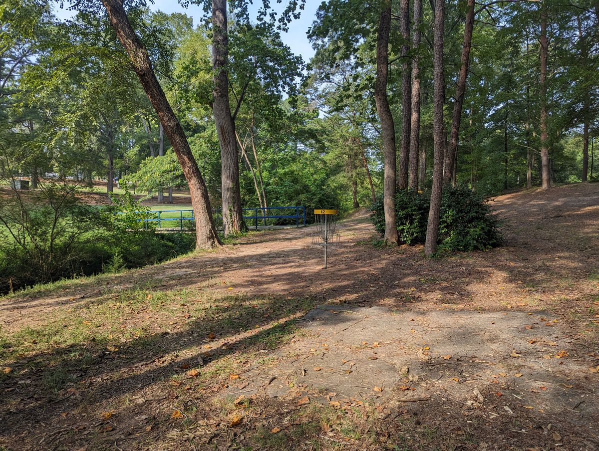 Hole 12 green